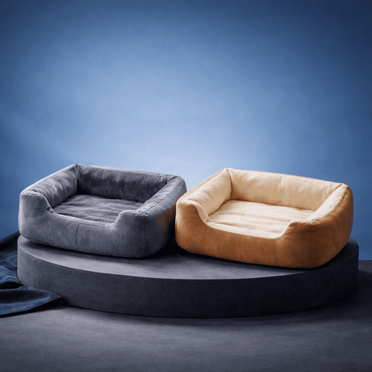 מיטת החתולים החדשה של VALOR