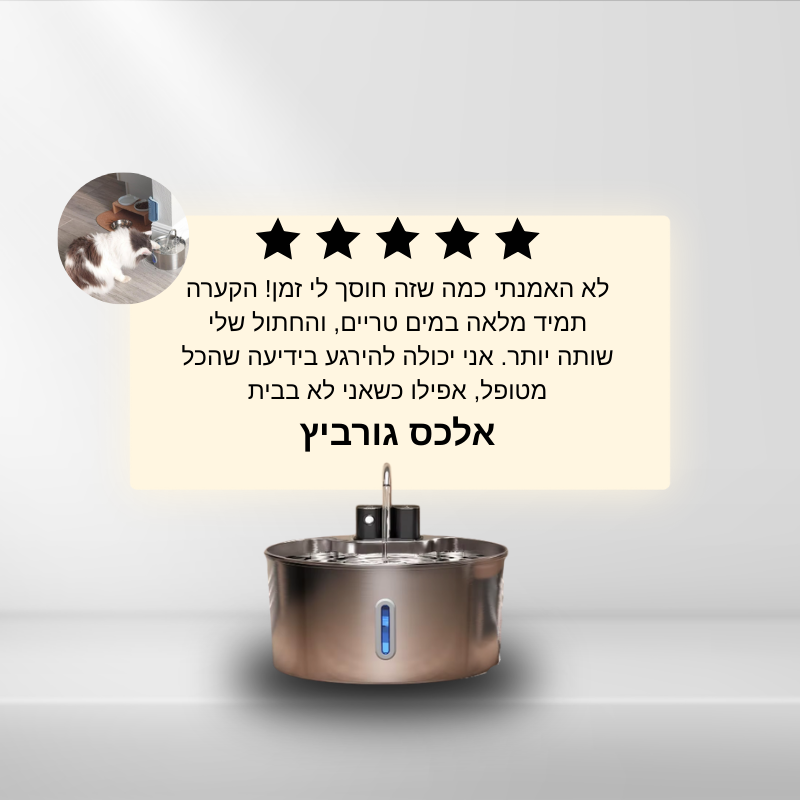 קערת השתייה של VALOR – שתייה בריאה בלי התעסקות