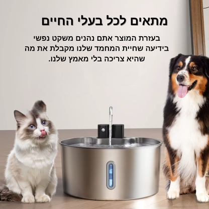 קערת השתייה של VALOR – שתייה בריאה בלי התעסקות