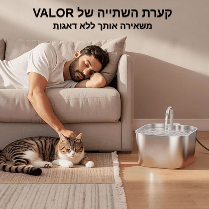 קערת השתייה של VALOR – שתייה בריאה בלי התעסקות
